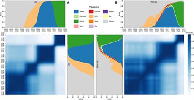 Global Mutational Sweep of SARS-CoV-2: From Chaos to Order